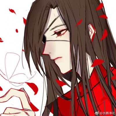 《白日提灯》今日开播